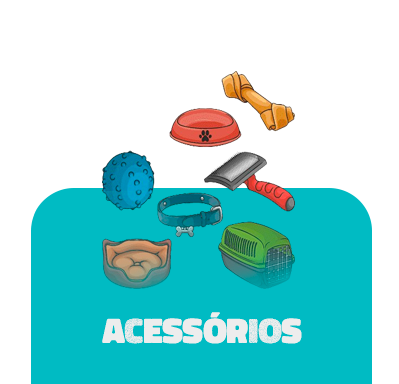 Acessórios 