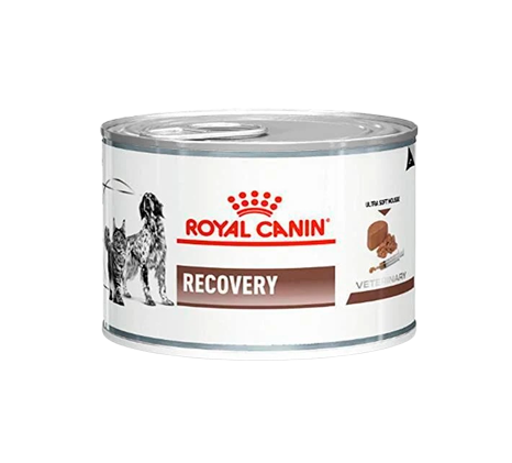 Ração Royal Canin Lata Canine e Feline Veterinary Recovery - 195g